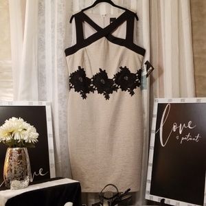 Melrose Social Dress, Women's 16